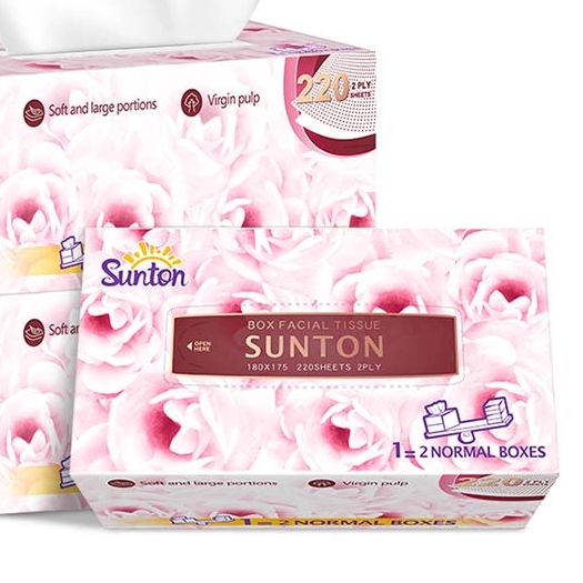 Accepting Everyday Deluxe: The Long-lasting Allure of Cells Paper Rolls, Paper Tissues, And Toilet Tissue Rolls
